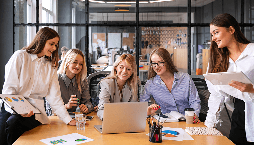 DS Developer IT Solutions